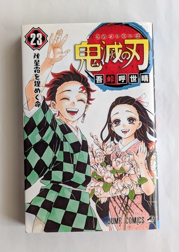 Demon slayer vol 1a - demon, vol.23