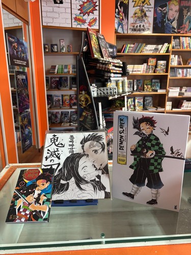 Demon slayer kimetsu - slayer,