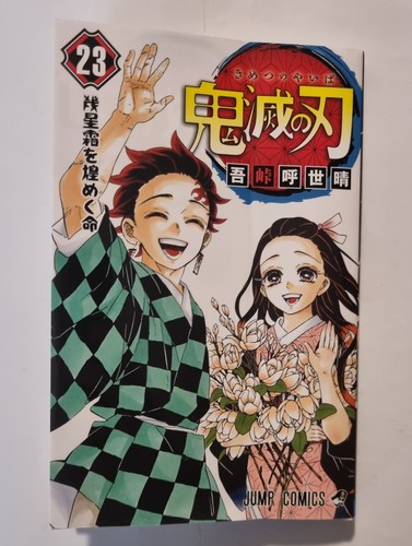 Demon slayer edizione - demon, 23