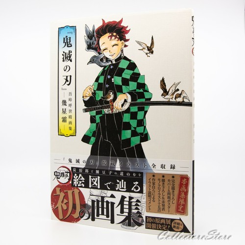 Libro arte demon - libro, d'arte