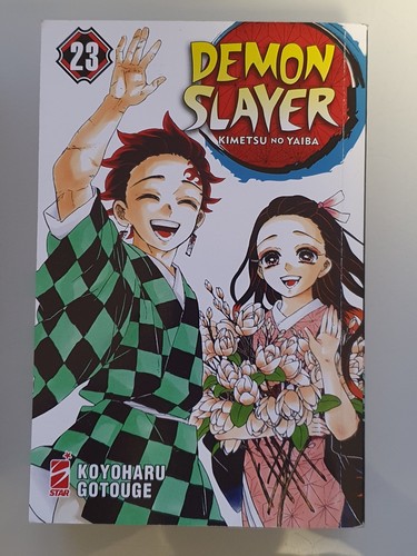 Fumetto manga demon slayer - manga,