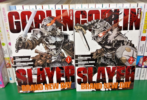 Goblin slayer brand new - -,